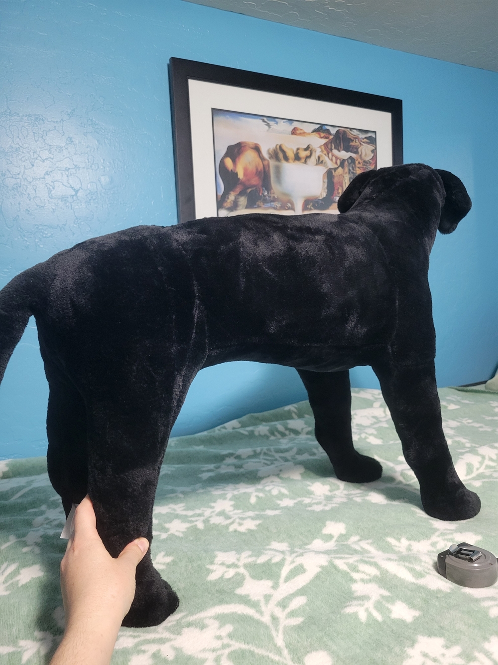 Black Plush Dog Toy - Soft Pet Plushie - Picture 7 of 15